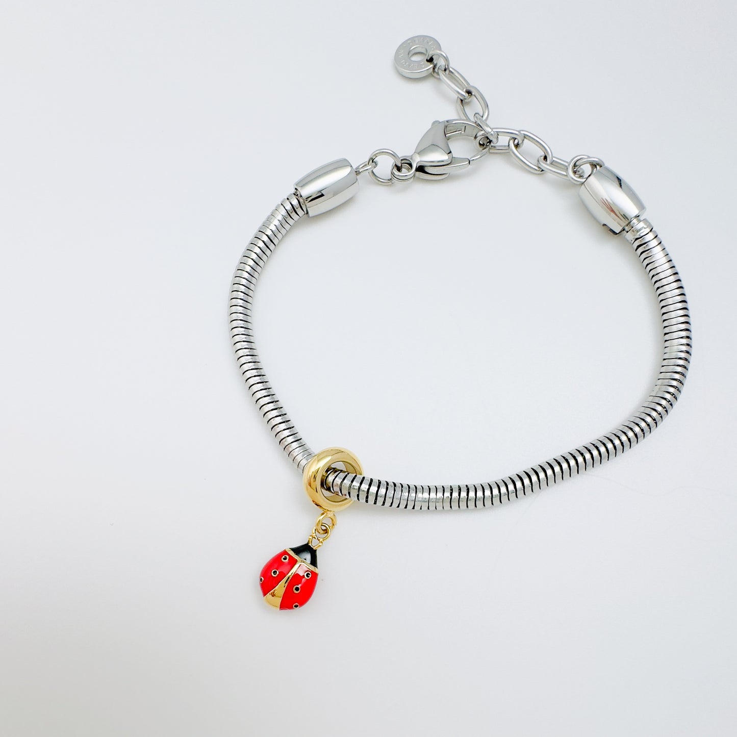 Ladybird Charm