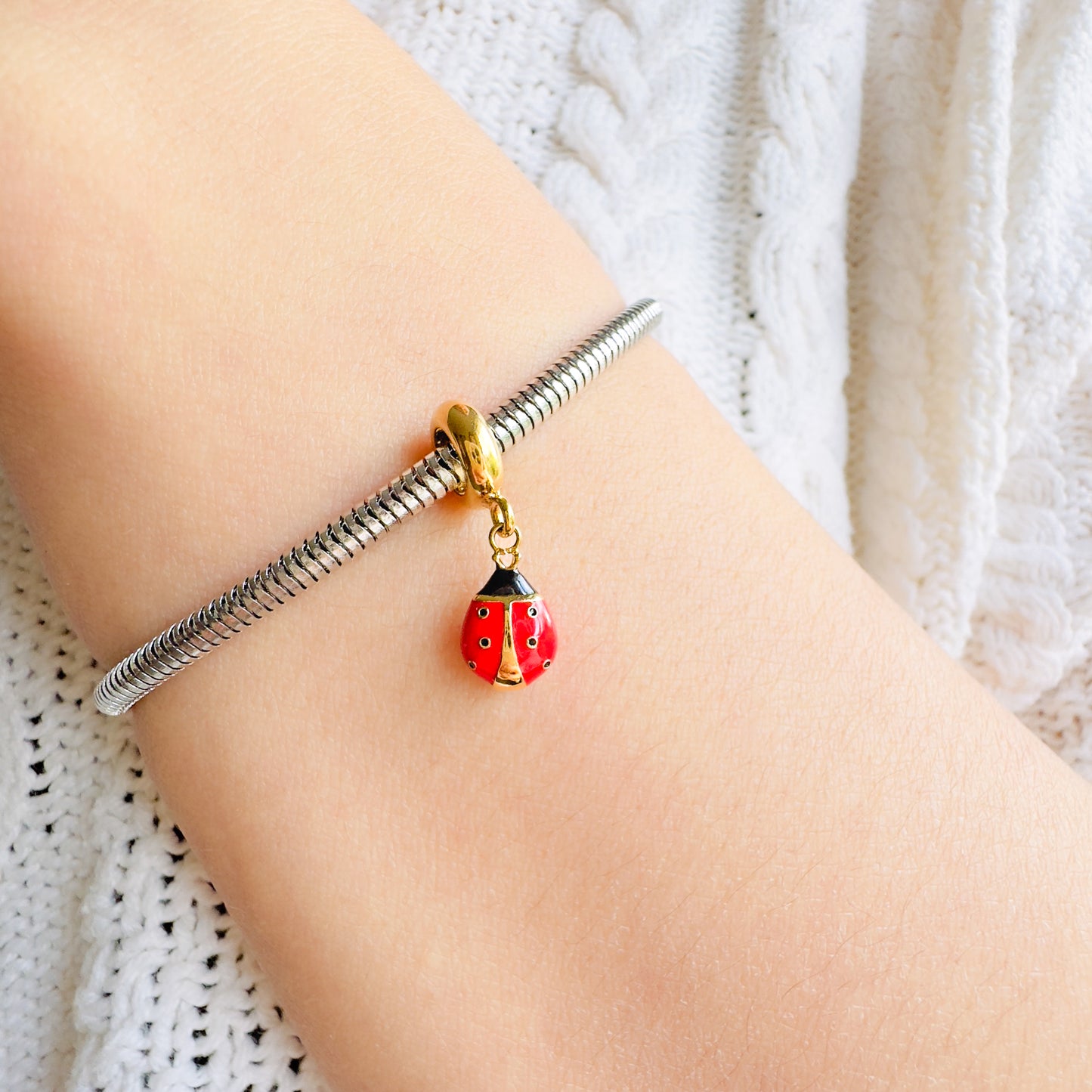 Ladybird Charm