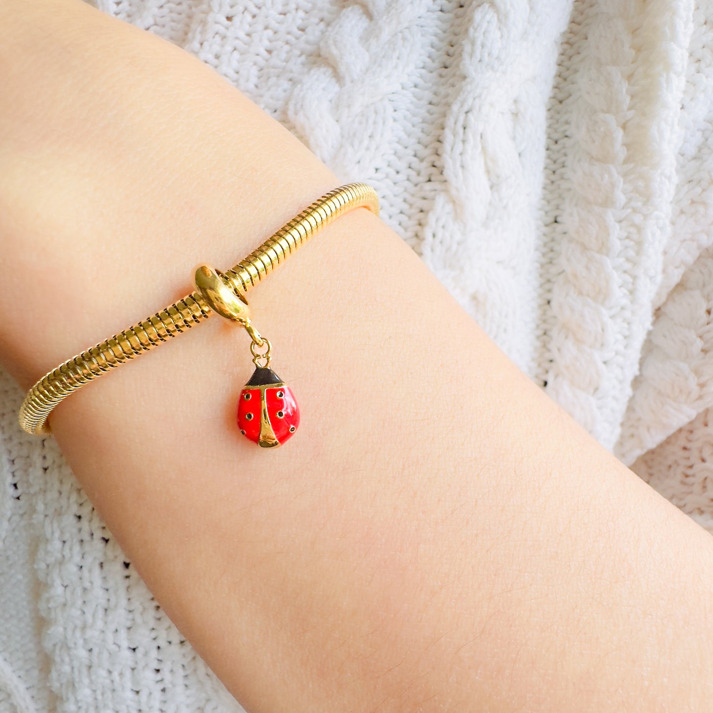 Ladybird Charm