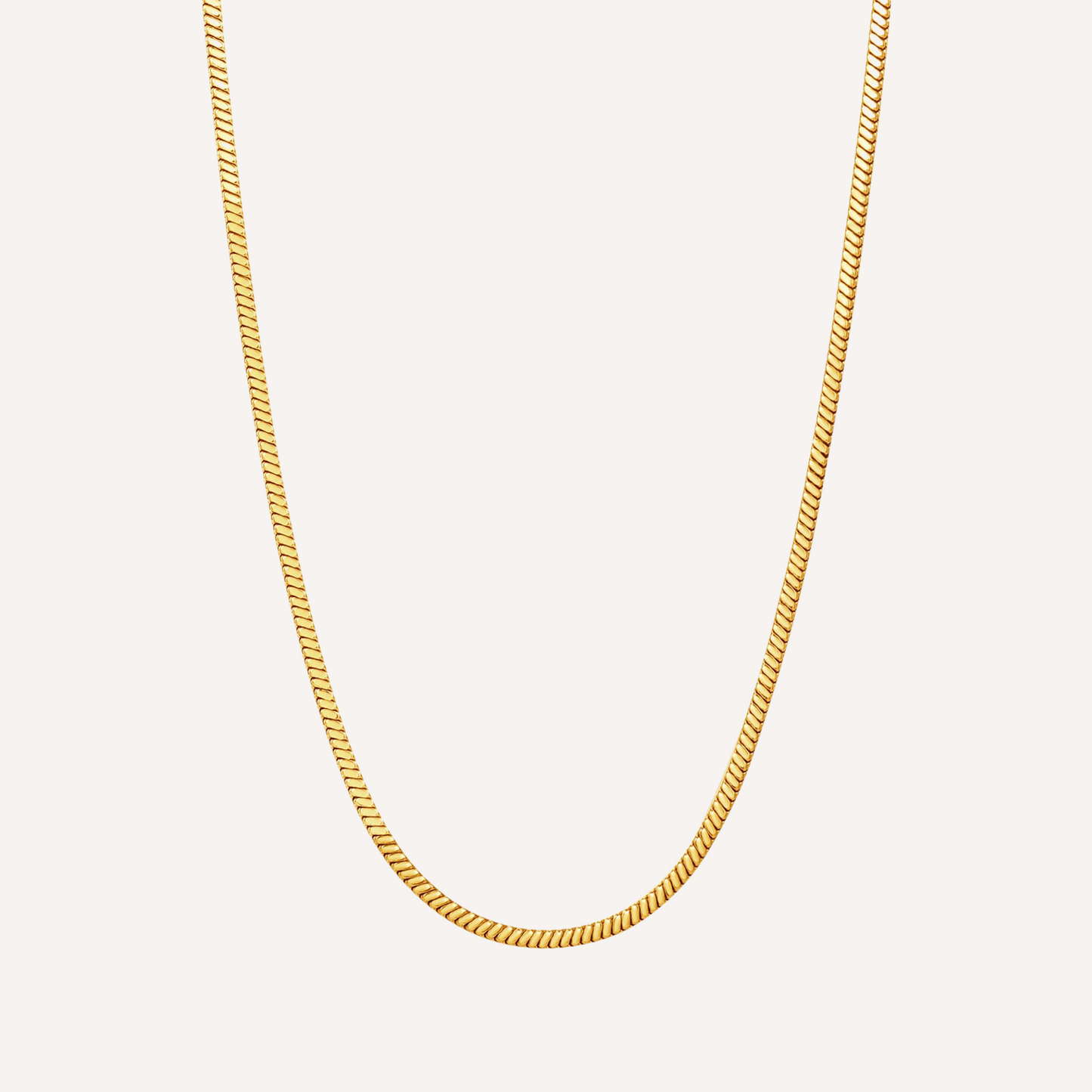 Shimmer & Shine Gold Square Snake Chain