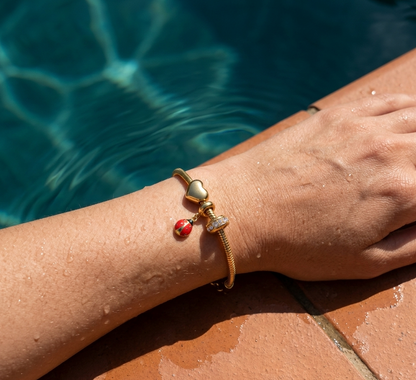 Lucky Ladybird Heart Charm Bracelet Bundle